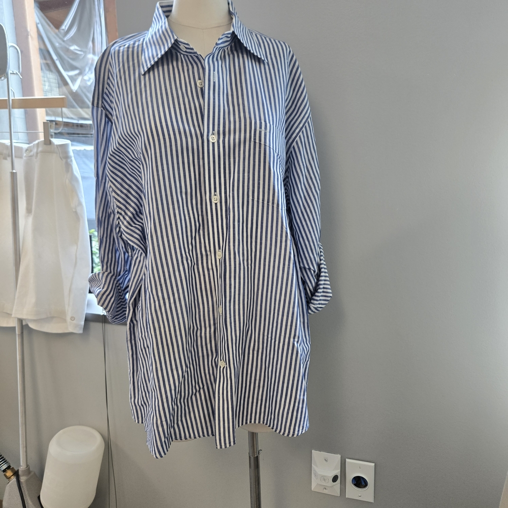 Blue Striped Facconable Blouse